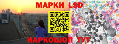 крисы Шебекино