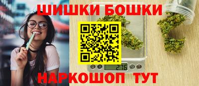 крисы Шебекино