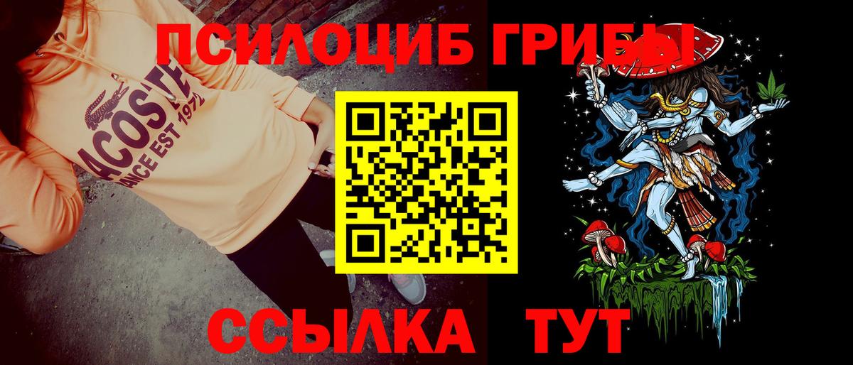 Галлюциногенные грибы Psilocybine cubensis  Галлюциногенные грибы Psilocybe  Вход с VPN  Каспийск 