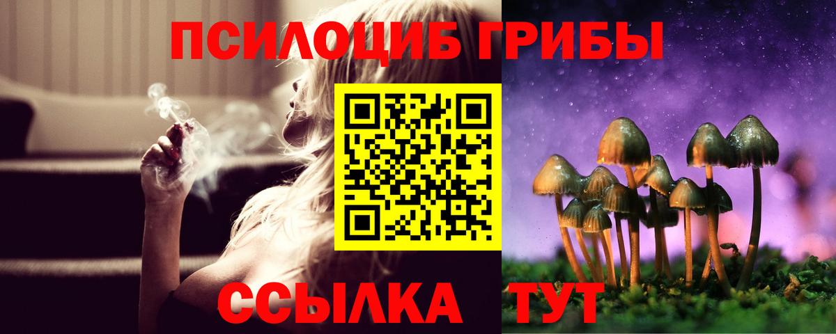 Псилоцибиновые грибы прущие грибы Каспийск